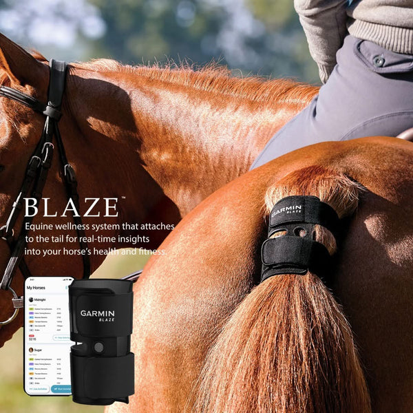 GARMIN BLAZE EQUINE WELLNESS SYSTEM
