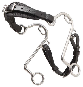 "S" HACKAMORE