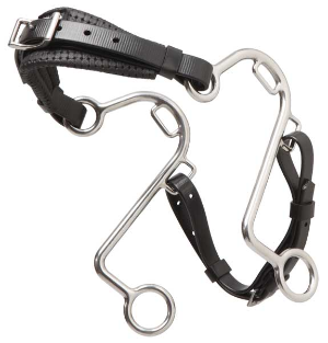 "S" HACKAMORE