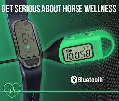 HORSEPAL HEART RATE MONITOR
