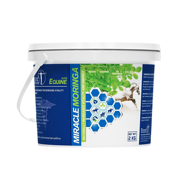 MIRACLE MORINGA EQUINE