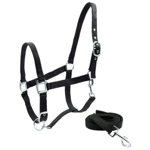 REGUS ECONO HALTER SET