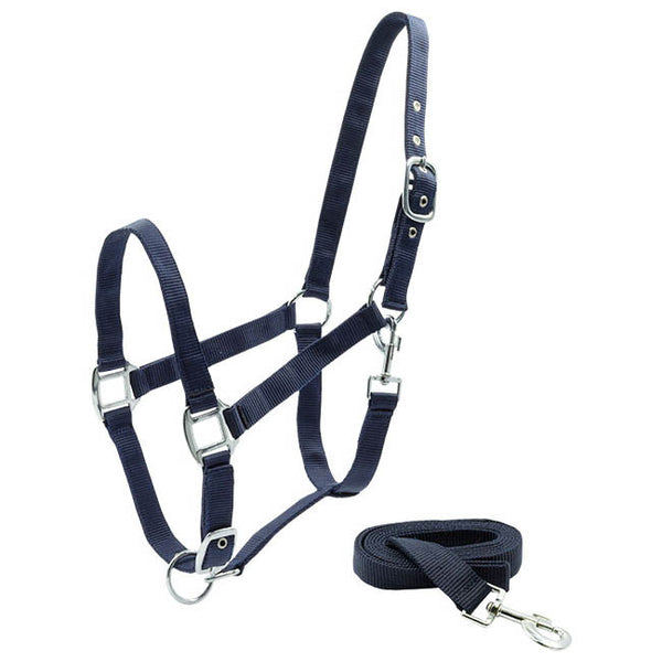 REGUS ECONO HALTER SET