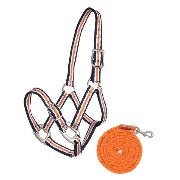 GELATO HALTER & LEAD