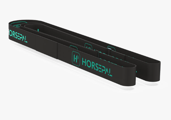 HORSEPAL HEART RATE MONITOR