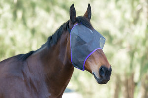 FLY MASK BUDGET