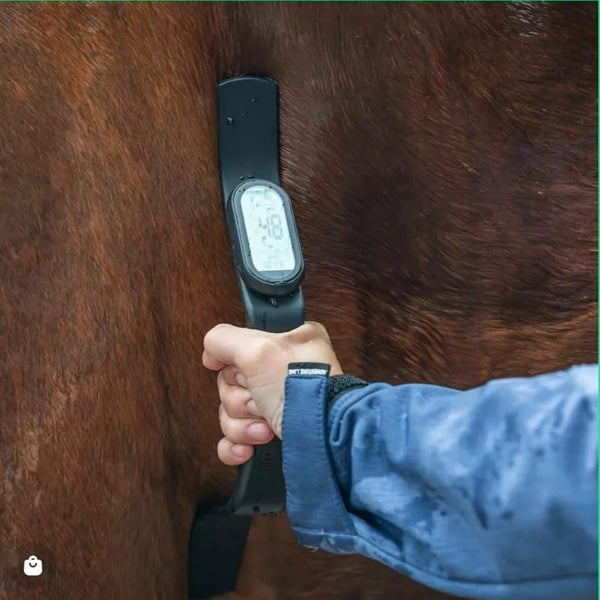 HORSEPAL HEART RATE MONITOR