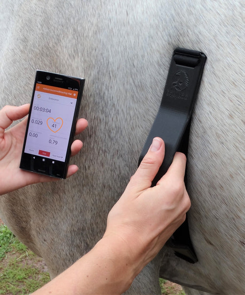 EQUILOG VETCHECK HEART RATE MONITOR