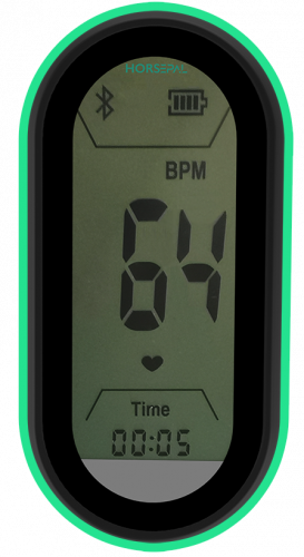 HORSEPAL HEART RATE MONITOR